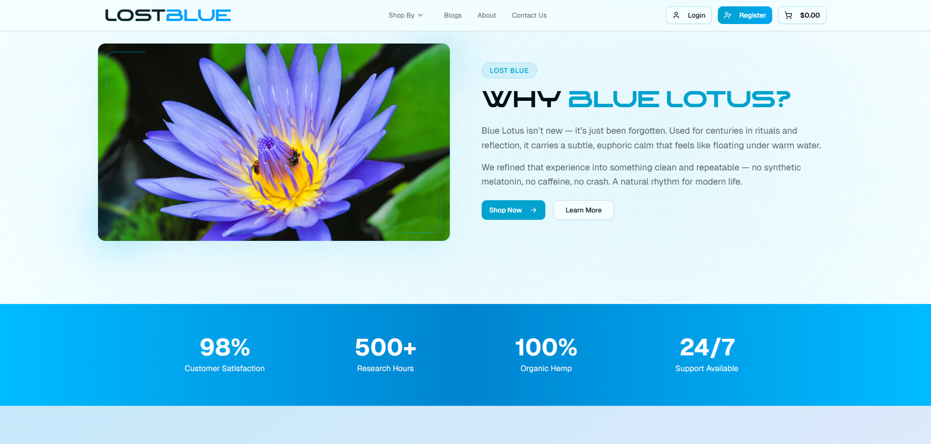 Modern Ecommerce Presentation for a Consumer Brand