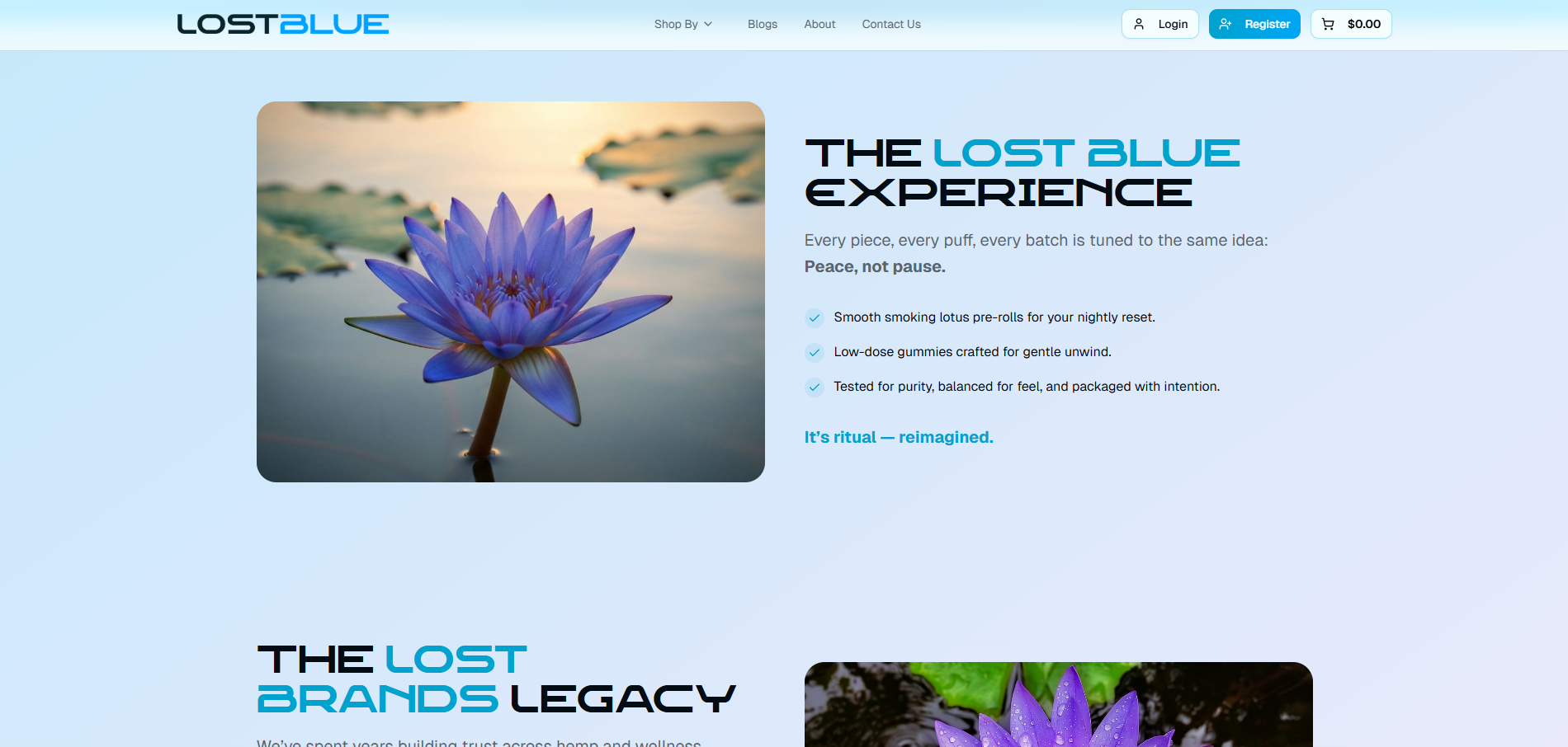Lost Blue